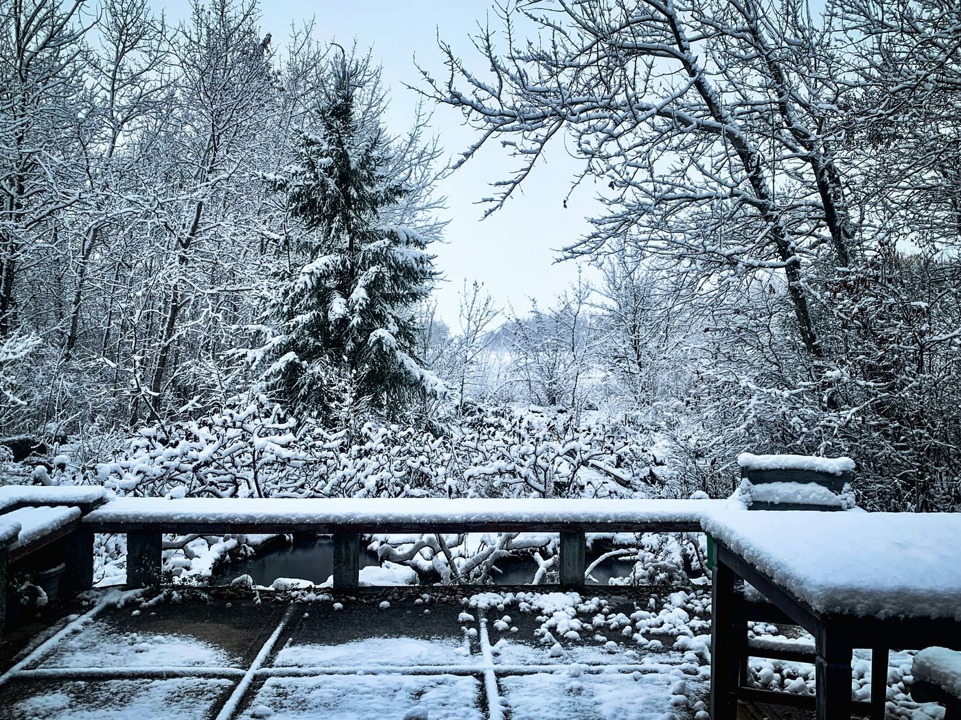 Winter Wood Care: Protecting Your Exterior Surfaces in Cold Weather