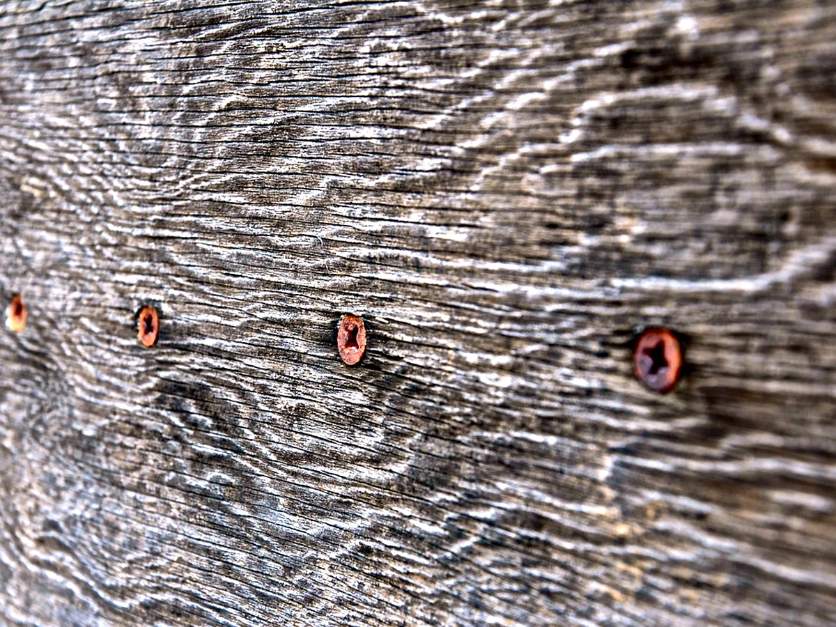 Corroded screw head in decking with a black tannin stain bleeding out around it