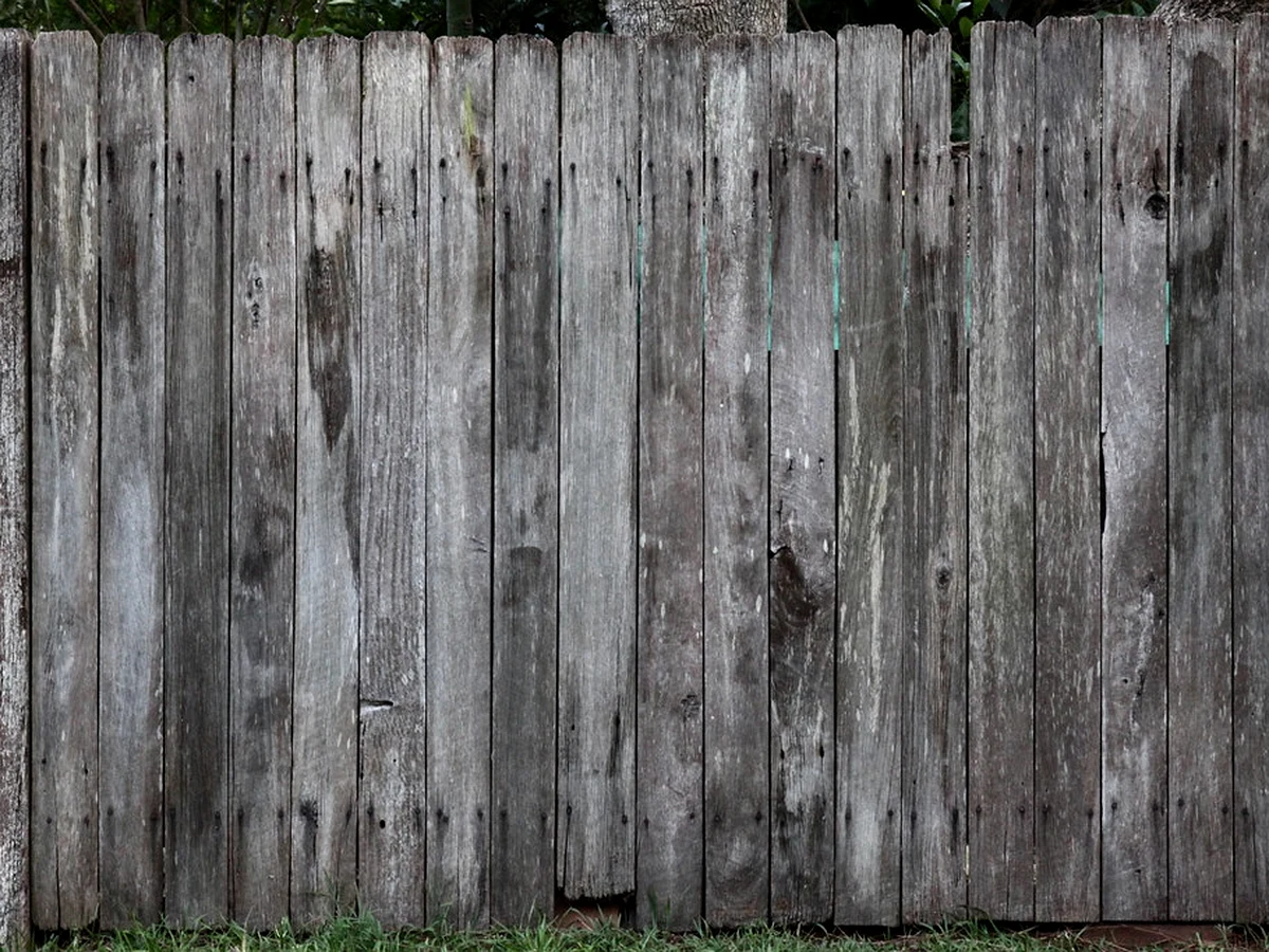 Weathered heritage cedar railing with dry silvered surface, open grain and fine splits