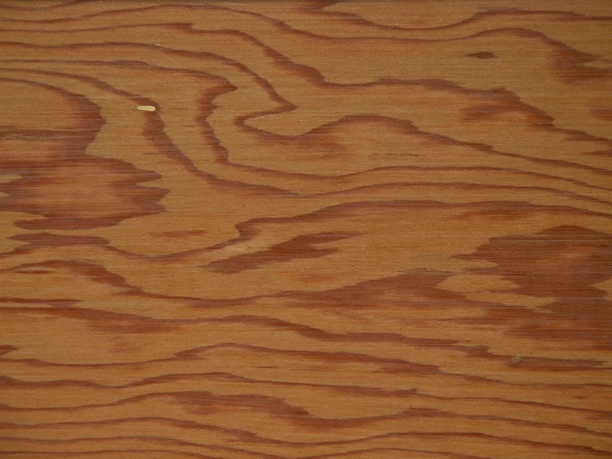 Raking light across a new deck board showing the glossy sheen of mill glaze beside a lightly sanded, open-grain patch