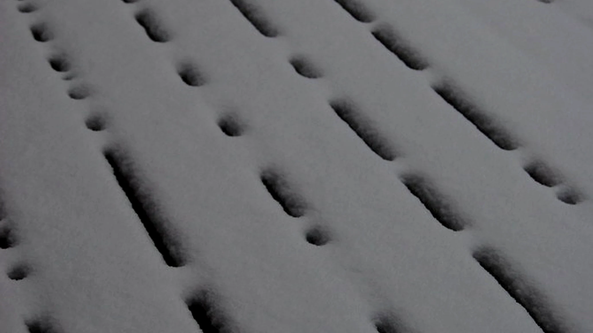 Does Road Salt Damage Wood Decks and Stairs? (Ontario Winter Guide)