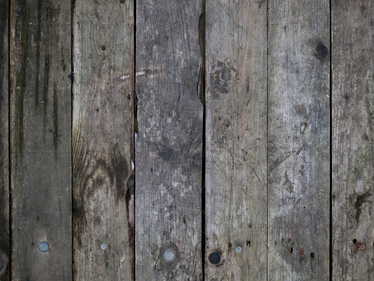 Spring close-up of a salted deck tread with grey fuzzy raised grain and white residue beside a protected section of the same board