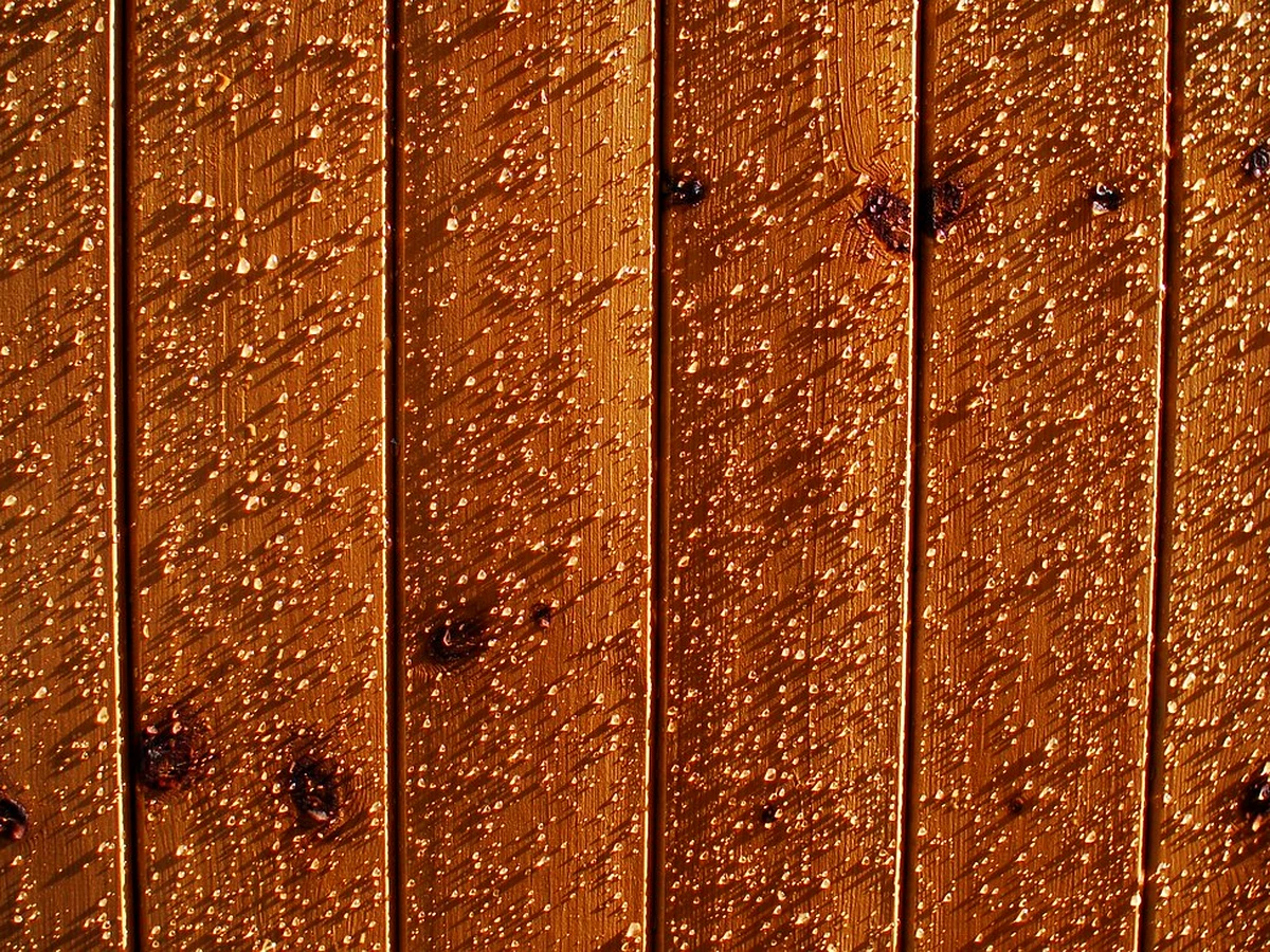 Water beading on one section of a new pressure-treated deck board while soaking in and darkening the wood on an adjacent section
