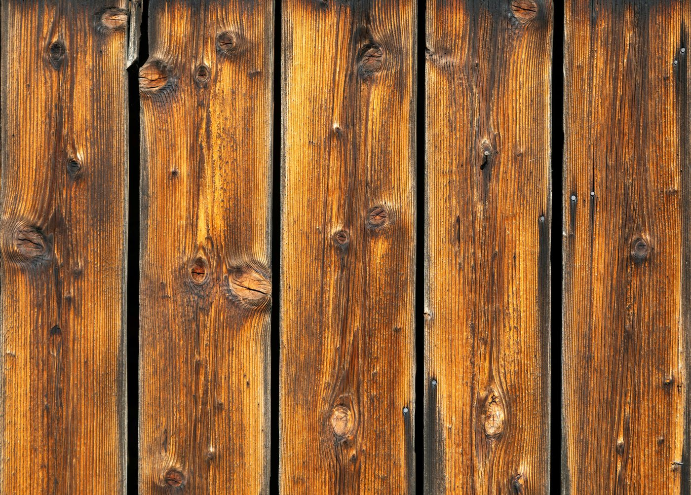 Why Your Fence Is Rotting and How to Stop It: A Complete Prevention Guide